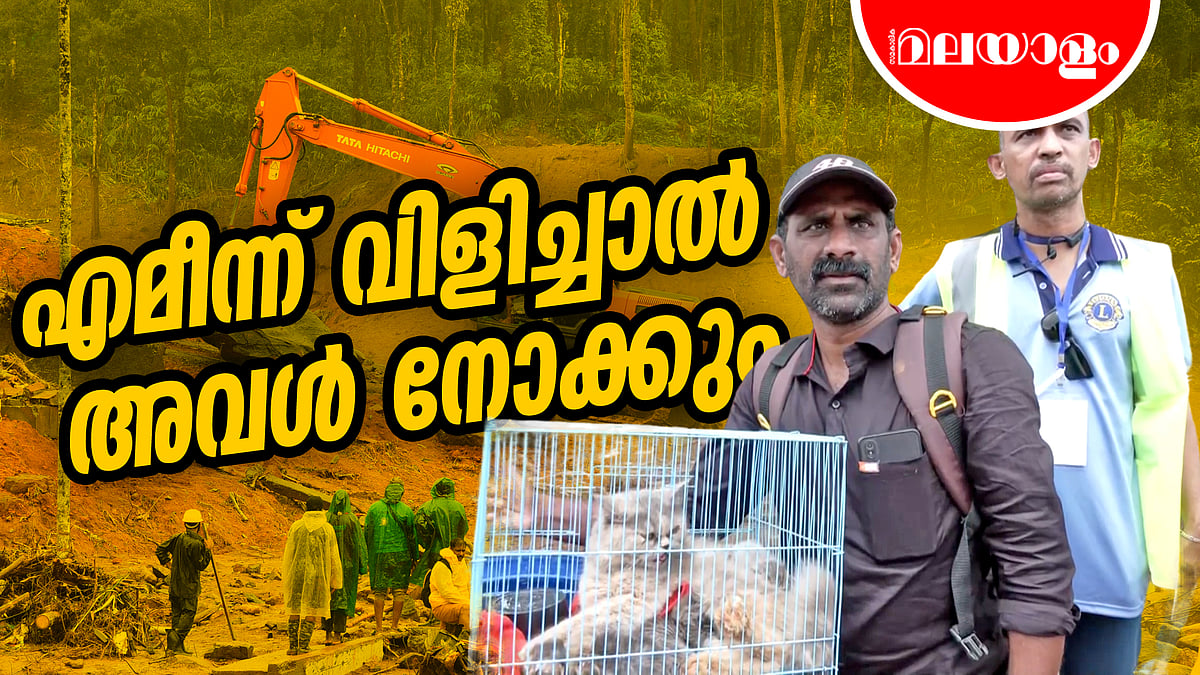 സന്തോഷിന് എമിയെ തിരിച്ചു കിട്ടി 